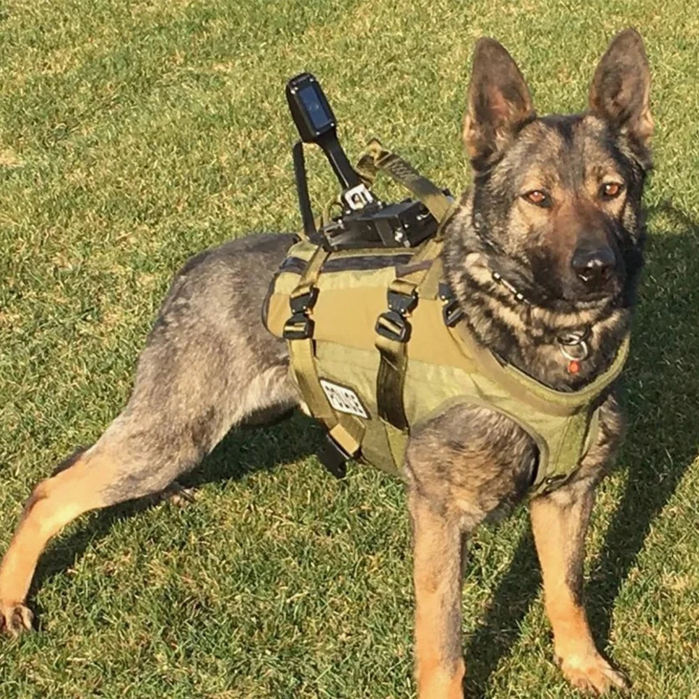 Tactical Dog Harness and Leash Set Service Dog Vest with Control Handle Adjustable Pet Training Harness for Dogs Walking