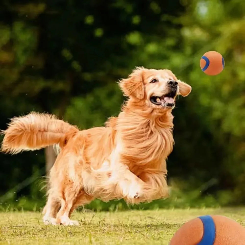 Dog Fetch & Chew Toy Ball – Solid Elastic Rubber for Small, Medium & Large Dogs