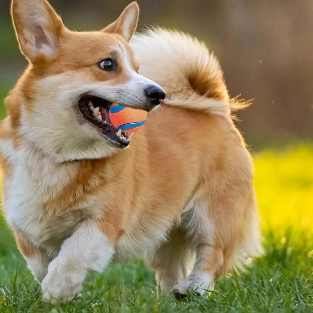 Dog Fetch & Chew Toy Ball – Solid Elastic Rubber for Small, Medium & Large Dogs