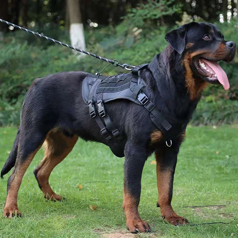 Heavy DutyTactical Leash Set Dog Harness for Large Dog